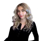 Nav item for @SOMMERSET