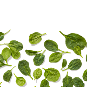 Spinach topping